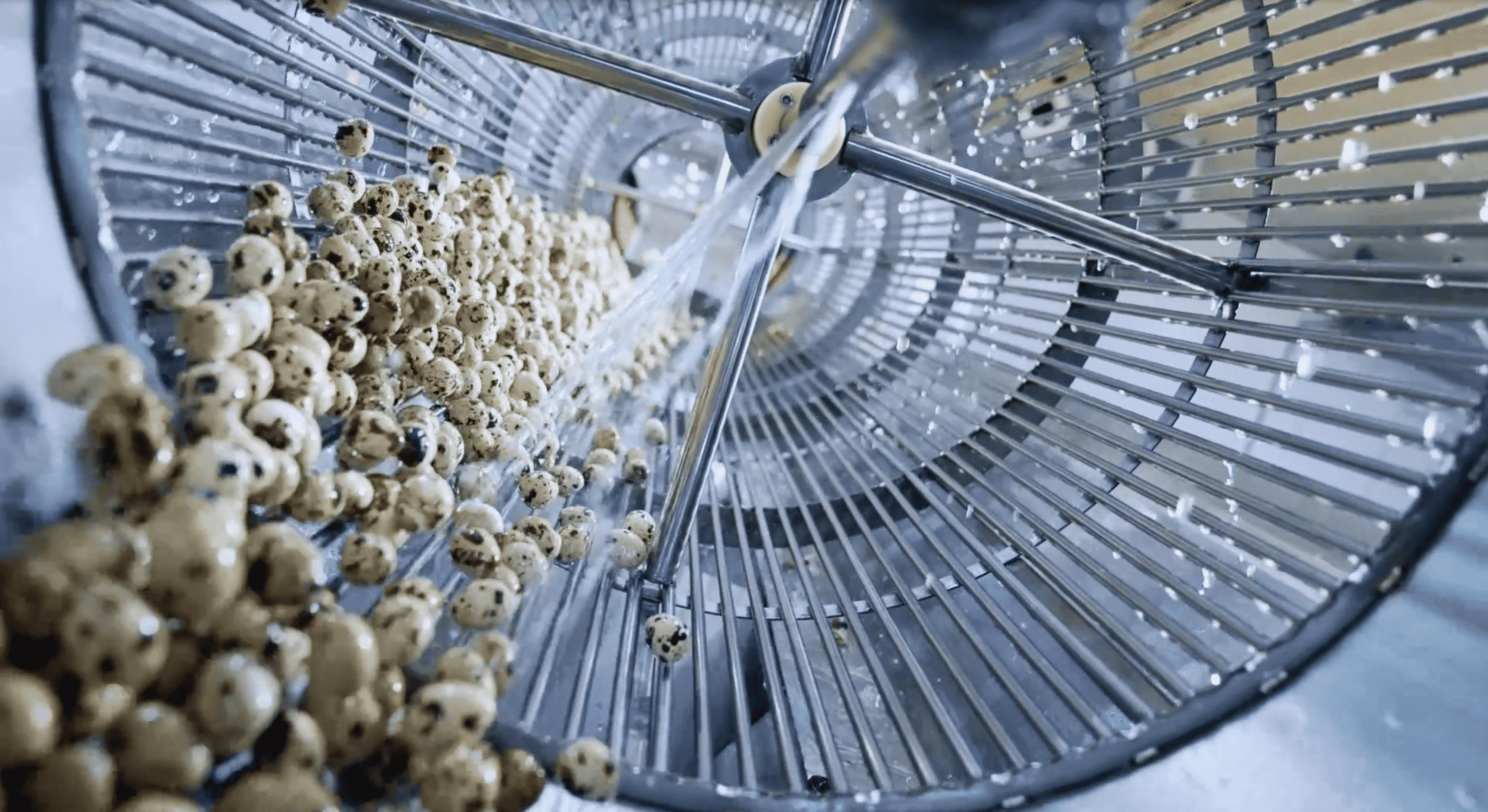 新春致辭 | 砥礪前行 一路生花